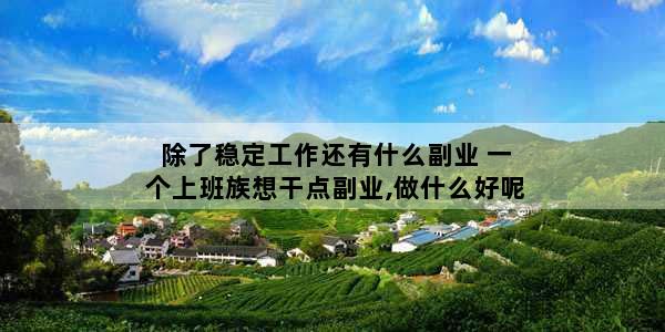 除了稳定工作还有什么副业 一个上班族想干点副业,做什么好呢